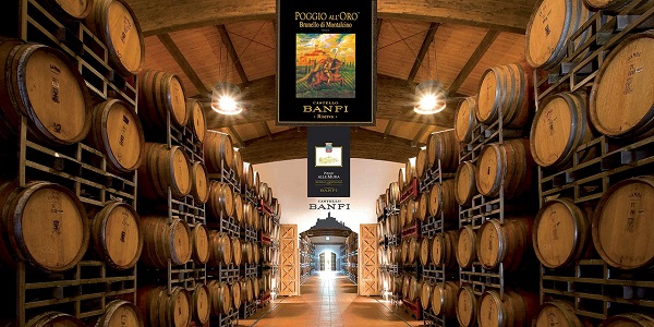 L'azienda